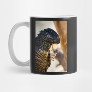 Red tailed black cockatoo. Mug